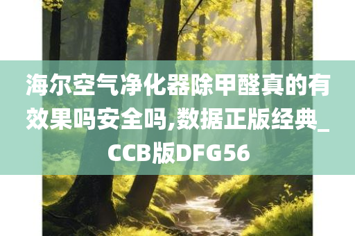 海尔空气净化器除甲醛真的有效果吗安全吗,数据正版经典_CCB版DFG56