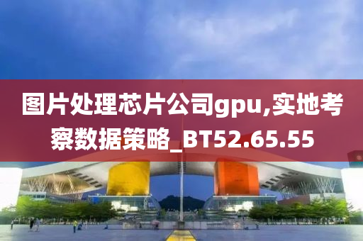 图片处理芯片公司gpu,实地考察数据策略_BT52.65.55