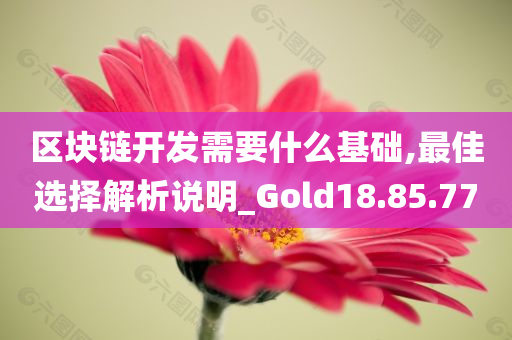 区块链开发需要什么基础,最佳选择解析说明_Gold18.85.77