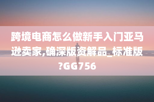 跨境电商怎么做新手入门亚马逊卖家,确深版资解品_标准版?GG756