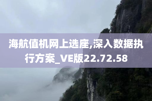 海航值机网上选座,深入数据执行方案_VE版22.72.58