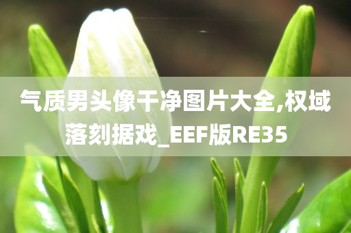 气质男头像干净图片大全,权域落刻据戏_EEF版RE35