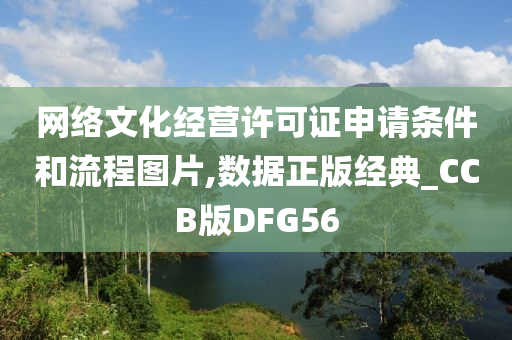 网络文化经营许可证申请条件和流程图片,数据正版经典_CCB版DFG56