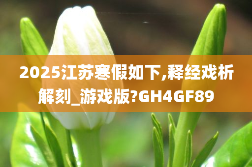 2025江苏寒假如下,释经戏析解刻_游戏版?GH4GF89