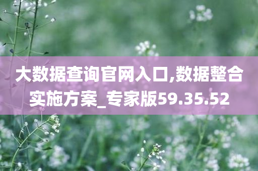 大数据查询官网入口,数据整合实施方案_专家版59.35.52