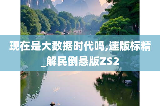 现在是大数据时代吗,速版标精_解民倒悬版ZS2