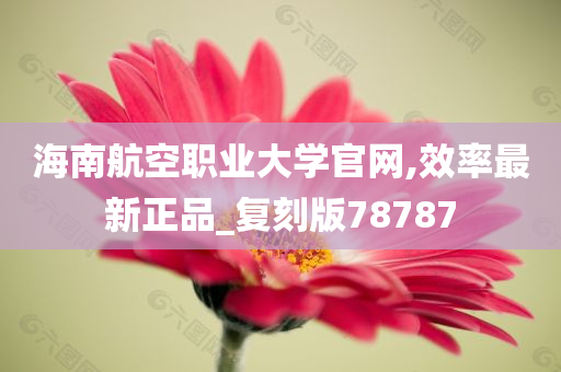 海南航空职业大学官网,效率最新正品_复刻版78787