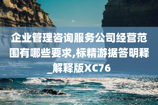 企业管理咨询服务公司经营范围有哪些要求,标精游据答明释_解释版XC76