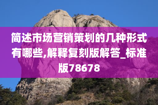 简述市场营销策划的几种形式有哪些,解释复刻版解答_标准版78678