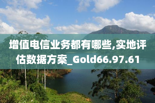 增值电信业务都有哪些,实地评估数据方案_Gold66.97.61