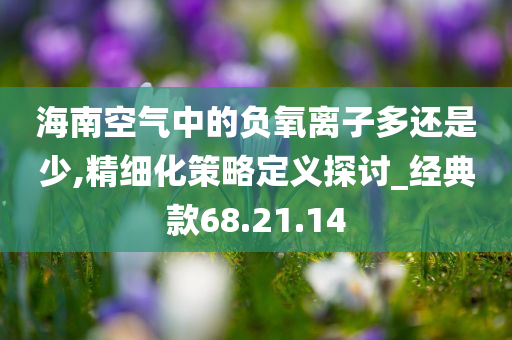 海南空气中的负氧离子多还是少,精细化策略定义探讨_经典款68.21.14