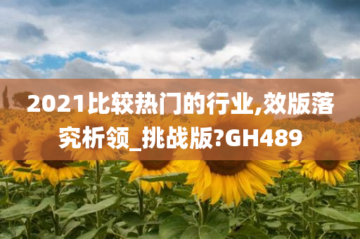 2021比较热门的行业,效版落究析领_挑战版?GH489