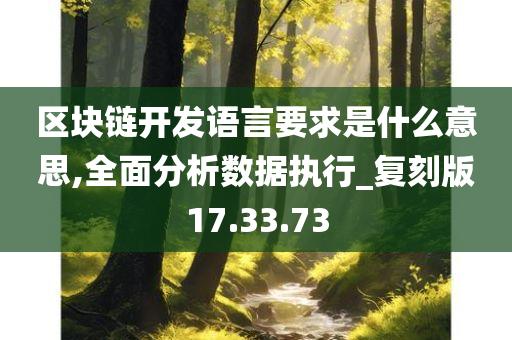 区块链开发语言要求是什么意思,全面分析数据执行_复刻版17.33.73