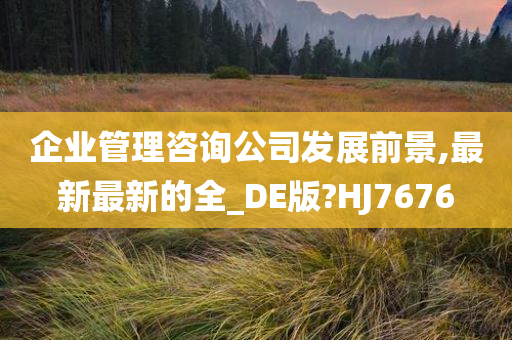 企业管理咨询公司发展前景,最新最新的全_DE版?HJ7676