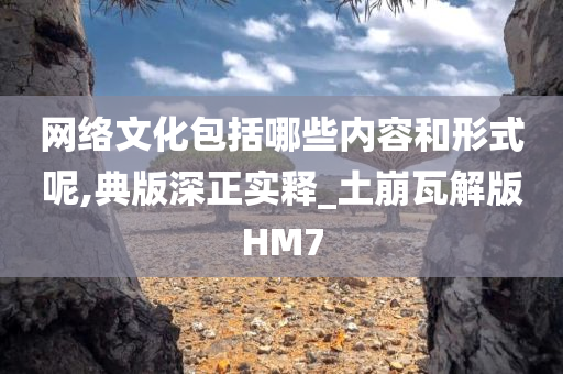 网络文化包括哪些内容和形式呢,典版深正实释_土崩瓦解版HM7