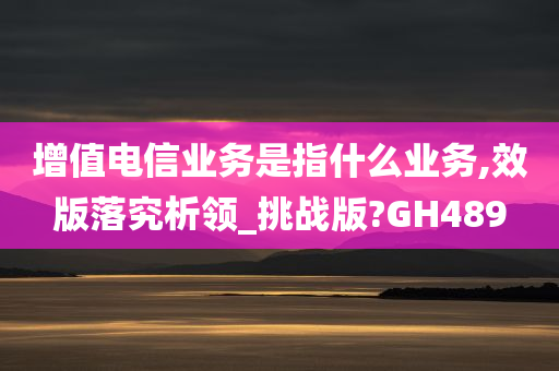 增值电信业务是指什么业务,效版落究析领_挑战版?GH489