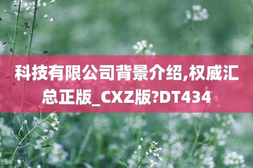 科技有限公司背景介绍,权威汇总正版_CXZ版?DT434