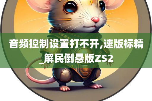 音频控制设置打不开,速版标精_解民倒悬版ZS2