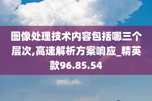 图像处理技术内容包括哪三个层次,高速解析方案响应_精英款96.85.54