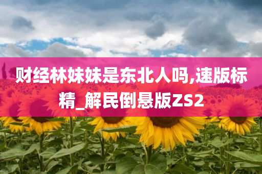 财经林妹妹是东北人吗,速版标精_解民倒悬版ZS2