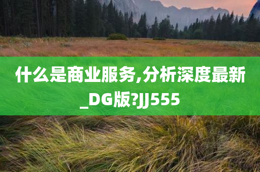 什么是商业服务,分析深度最新_DG版?JJ555