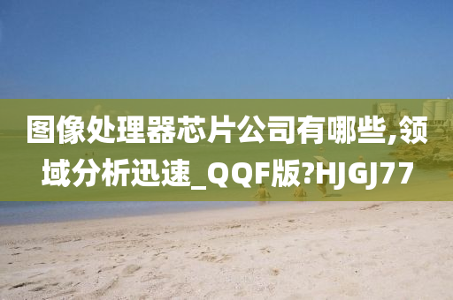 图像处理器芯片公司有哪些,领域分析迅速_QQF版?HJGJ77