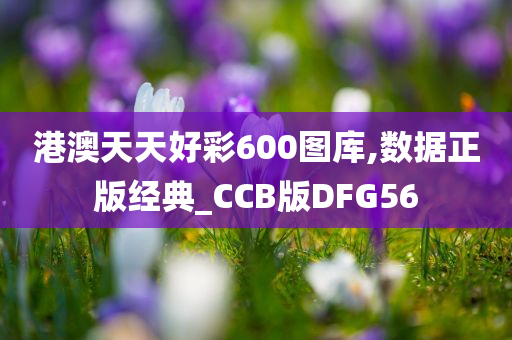 港澳天天好彩600图库,数据正版经典_CCB版DFG56