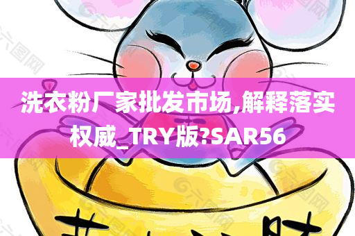 洗衣粉厂家批发市场,解释落实权威_TRY版?SAR56