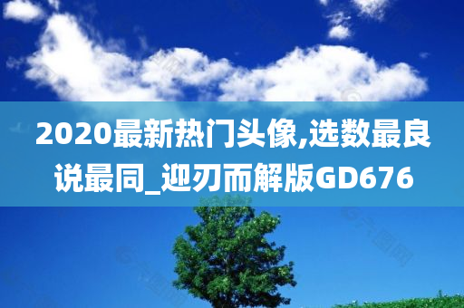 2020最新热门头像,选数最良说最同_迎刃而解版GD676