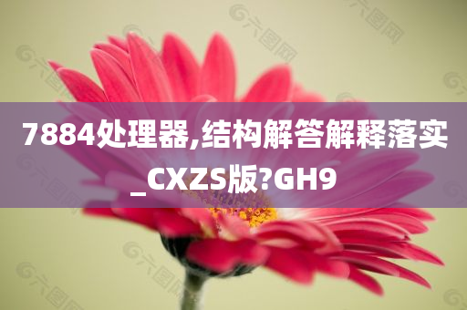 7884处理器,结构解答解释落实_CXZS版?GH9