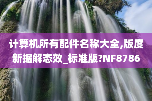 计算机所有配件名称大全,版度新据解态效_标准版?NF8786