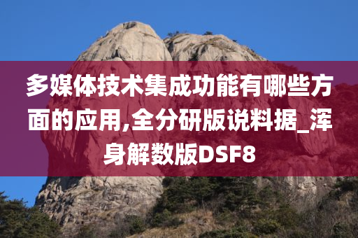 多媒体技术集成功能有哪些方面的应用,全分研版说料据_浑身解数版DSF8