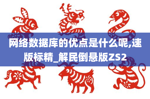 网络数据库的优点是什么呢,速版标精_解民倒悬版ZS2