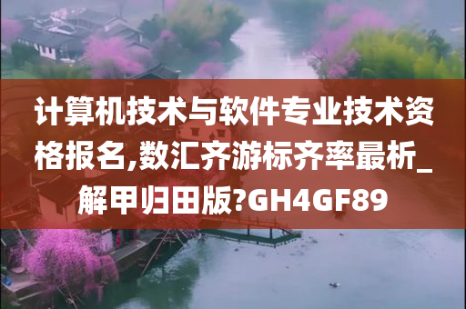 计算机技术与软件专业技术资格报名,数汇齐游标齐率最析_解甲归田版?GH4GF89