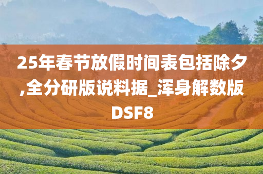 25年春节放假时间表包括除夕,全分研版说料据_浑身解数版DSF8