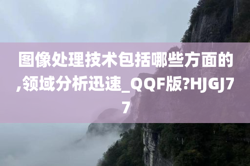 图像处理技术包括哪些方面的,领域分析迅速_QQF版?HJGJ77