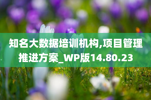 知名大数据培训机构,项目管理推进方案_WP版14.80.23