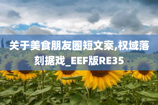 关于美食朋友圈短文案,权域落刻据戏_EEF版RE35