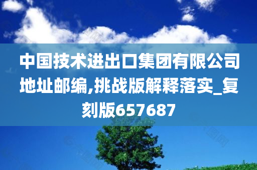 中国技术进出口集团有限公司地址邮编,挑战版解释落实_复刻版657687