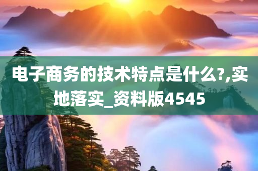 电子商务的技术特点是什么?,实地落实_资料版4545