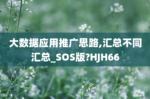 大数据应用推广思路,汇总不同汇总_SOS版?HJH66