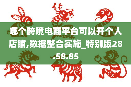 哪个跨境电商平台可以开个人店铺,数据整合实施_特别版28.58.85