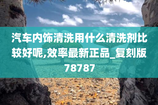 汽车内饰清洗用什么清洗剂比较好呢,效率最新正品_复刻版78787