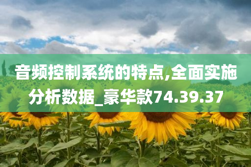 音频控制系统的特点,全面实施分析数据_豪华款74.39.37