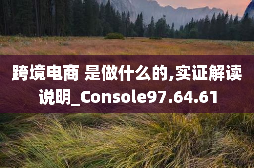 跨境电商 是做什么的,实证解读说明_Console97.64.61