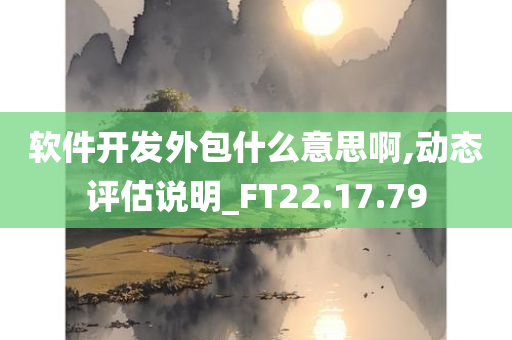 软件开发外包什么意思啊,动态评估说明_FT22.17.79