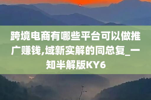 跨境电商有哪些平台可以做推广赚钱,域新实解的同总复_一知半解版KY6