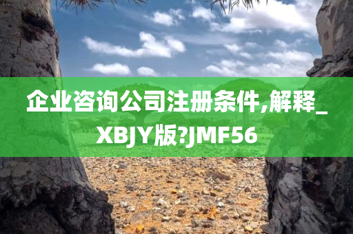 企业咨询公司注册条件,解释_XBJY版?JMF56