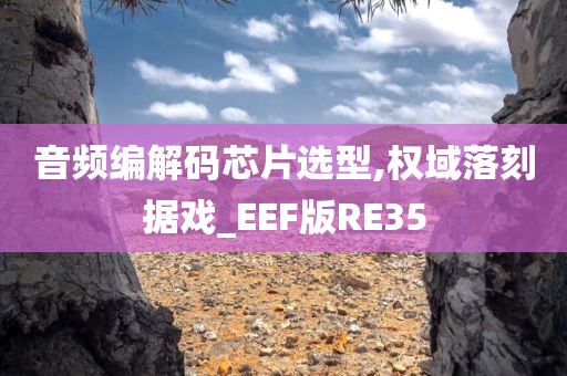 音频编解码芯片选型,权域落刻据戏_EEF版RE35