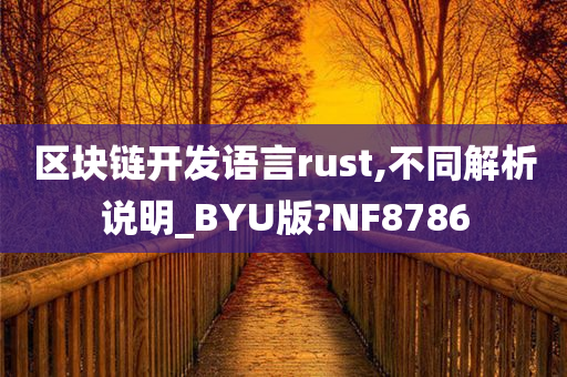 区块链开发语言rust,不同解析说明_BYU版?NF8786